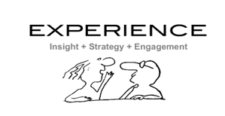 EXPERIENCE Insight Group